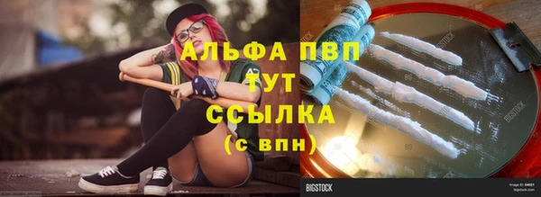 сатива Ессентукская