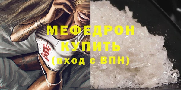 стаф Каменка