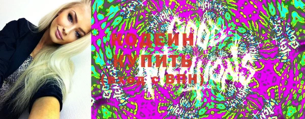 стаф Каменка