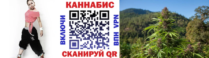 Конопля конопля  Луза 